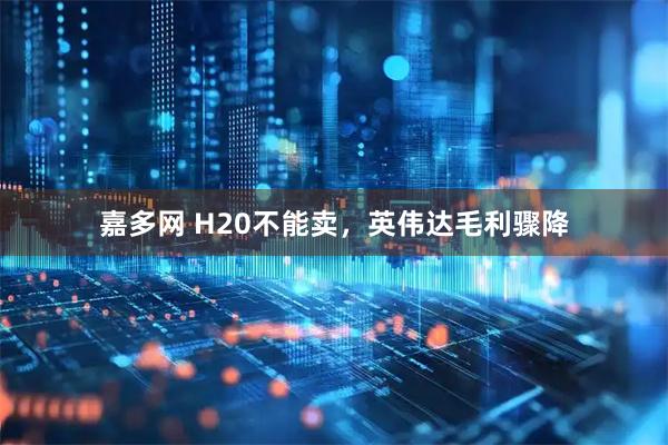 嘉多网 H20不能卖，英伟达毛利骤降