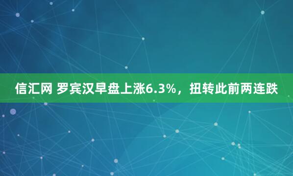信汇网 罗宾汉早盘上涨6.3%，扭转此前两连跌
