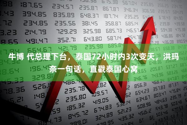 牛博 代总理下台，泰国72小时内3次变天，洪玛奈一句话，直戳泰国心窝