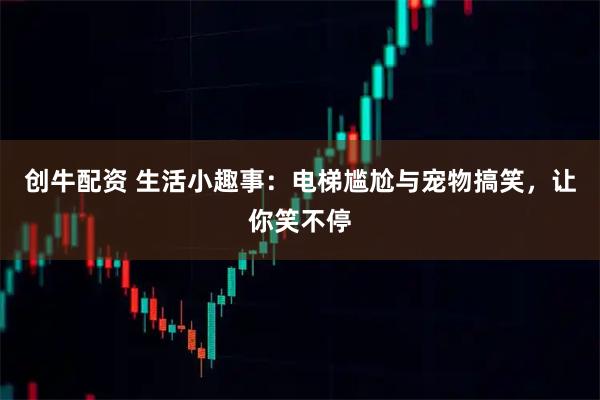 创牛配资 生活小趣事：电梯尴尬与宠物搞笑，让你笑不停